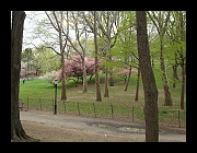 2010 Spring in Riverside Park w Billy-01